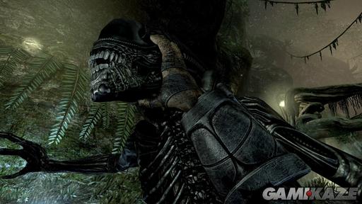 Aliens vs. Predator (2010) - Четыре новых скриншота Aliens vs. Predator 3