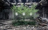 Detroit-urban-decay-reclaimed-by-nature