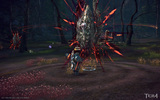 Tera_screenshot_20111230_143213