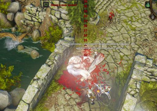 Divinity: Original Sin - Divinity:Original Sin: Знаете ли вы, что?